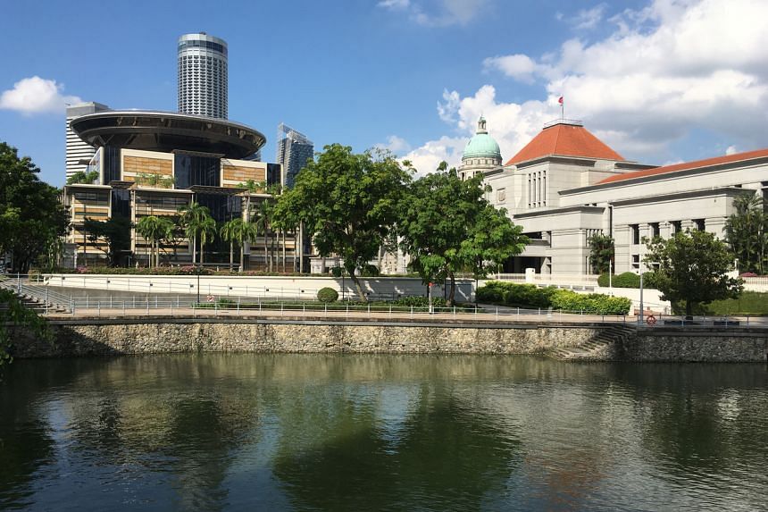新加坡高等法院与国会