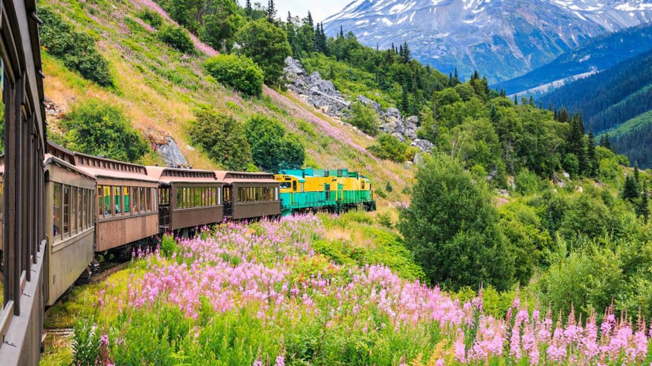 Yukon Train Ride 