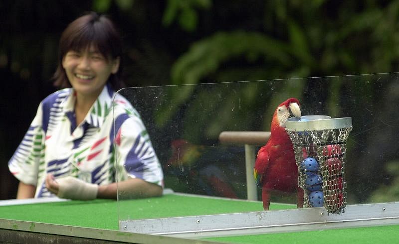  新加坡最“老”的野生动物展示区