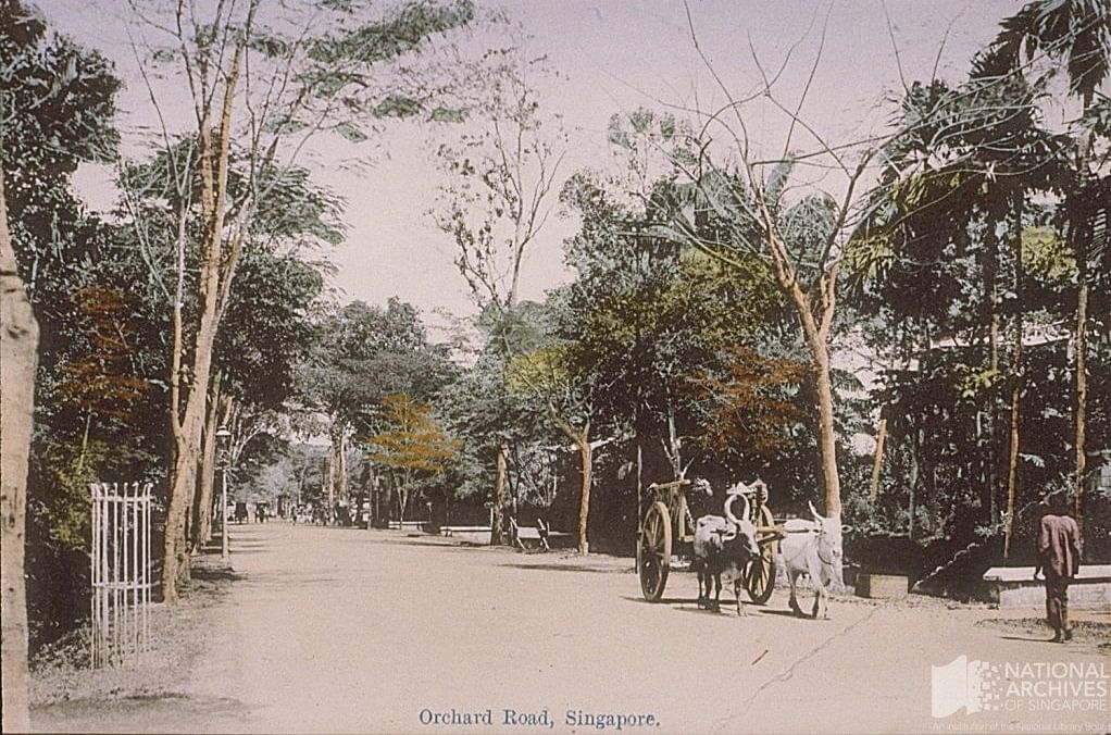 Orchard Road