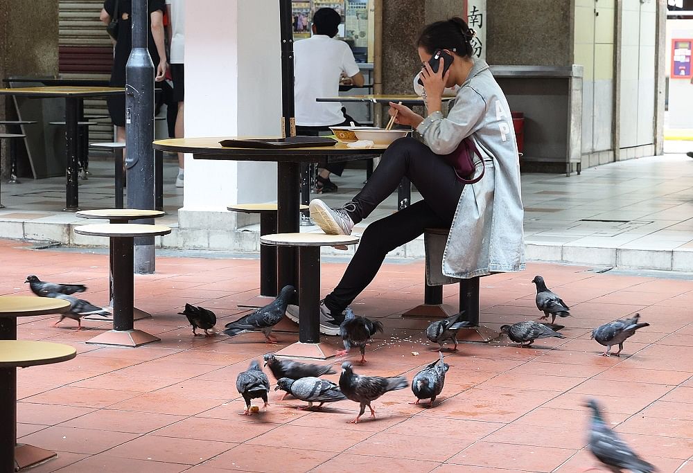 人鸟共食