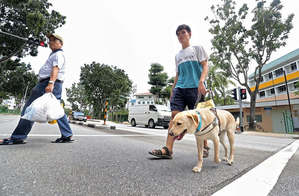 导盲犬