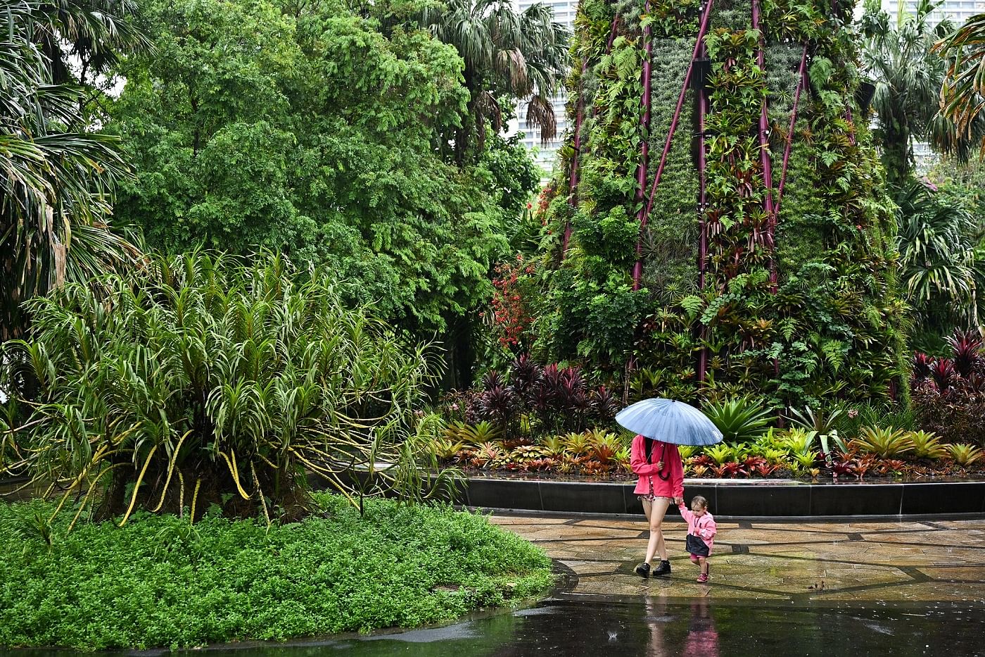 雨中的滨海湾花园