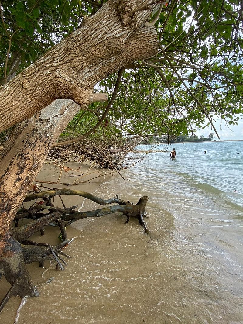 Tiny Beach