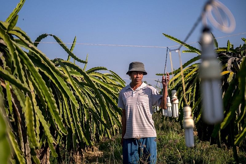 VietFarmer