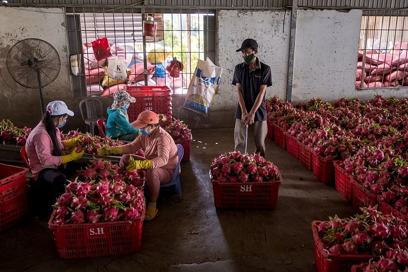 VietPackfruits