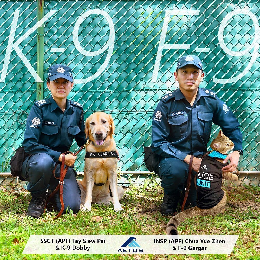 K9F9