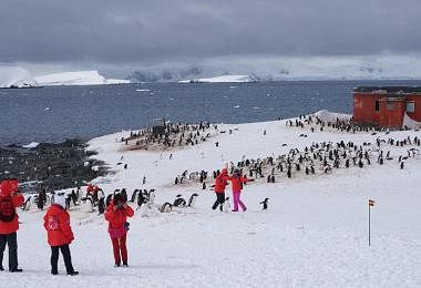 Antarctic Tourism