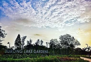 裕廊湖花园（Jurong Lake Gardens）里头一共有三大“园”，每个角度的景致都不一样。（Instagram）