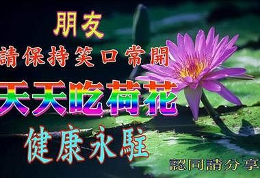 社交媒体平台和聊天软件里无所不在的“问好”图（又称“长辈图”）。（互联网）