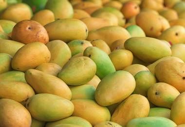中国成了东南亚水果大市场　柬埔寨芒果继猫山王榴莲后走红