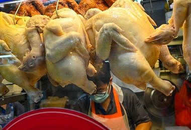 马国活鸡暂时来不了　新加坡人该如何做好准备？