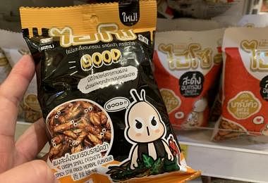 食品局批准了16种可食用的昆虫