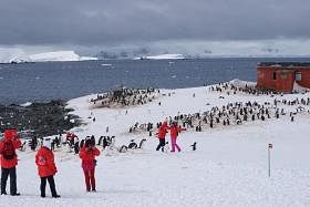 Antarctic Tourism