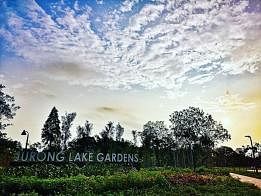 裕廊湖花园（Jurong Lake Gardens）里头一共有三大“园”，每个角度的景致都不一样。（Instagram）