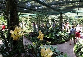  新加坡植物园内拥有多年历史的国家胡姬园。（联合早报）