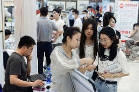 中国青年“下乡”成为新潮流，是半推半就还是权宜之计？